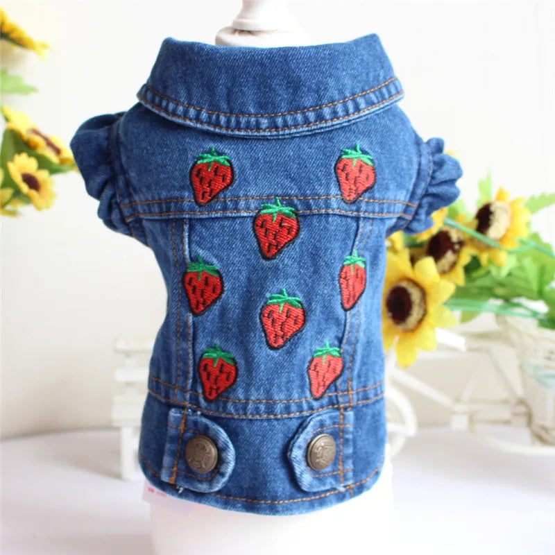 Denim Dog Clothes for Pitbull Dachshund Fashion Dog Jean Jacket