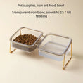 Load image into Gallery viewer, Cat and Dog Double Bowl with Stand Transparent Food Feeding Dish Metal Elevated Feeder
