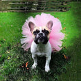 Load image into Gallery viewer, Tutu Skirt Ballerina for Puppy Dog Cute Dresses Costume for Small Dogs
