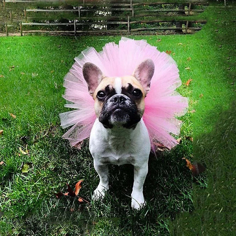 Tutu Skirt Ballerina for Puppy Dog Cute Dresses Costume for Small Dogs