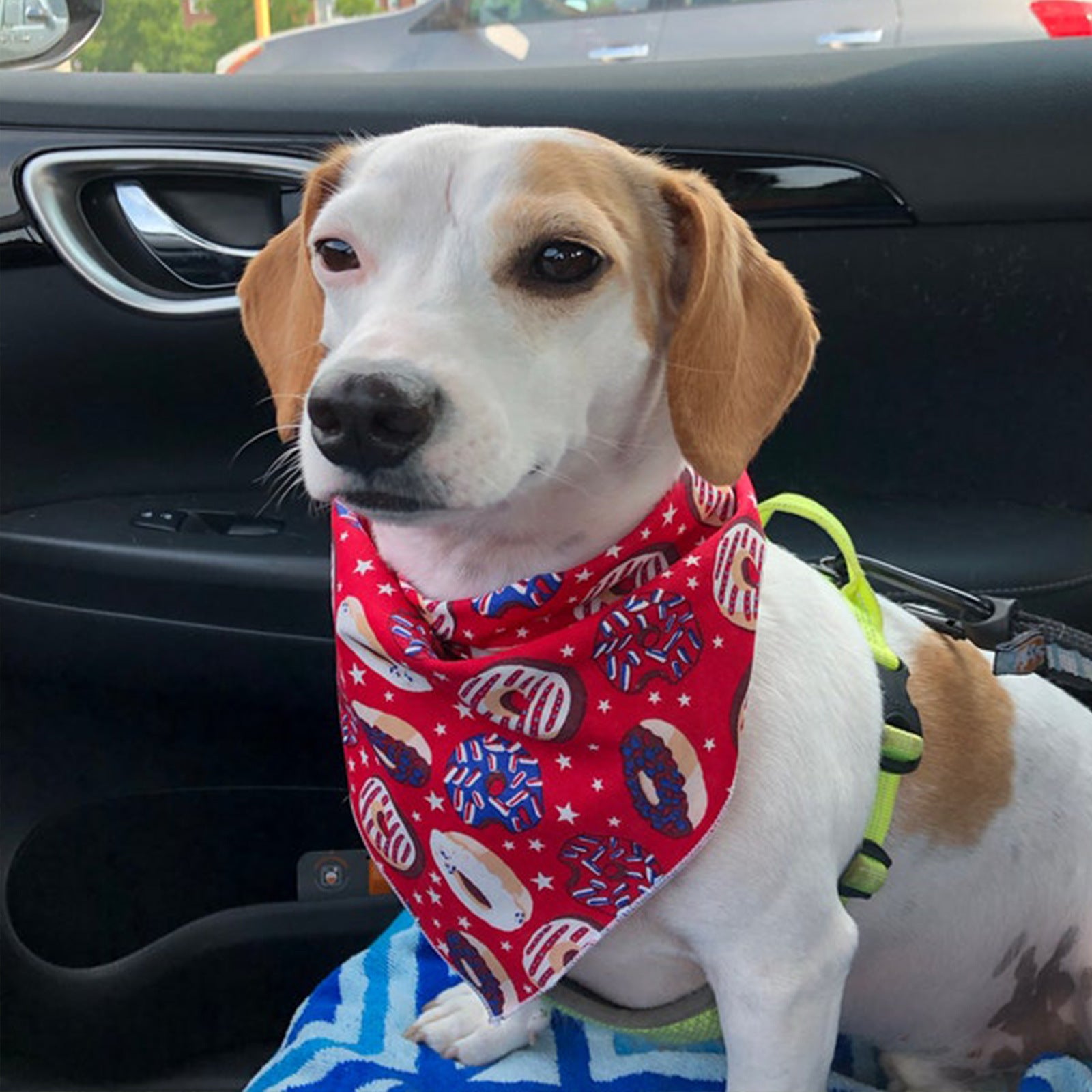 Single-layer Printed Dog Triangle Towel