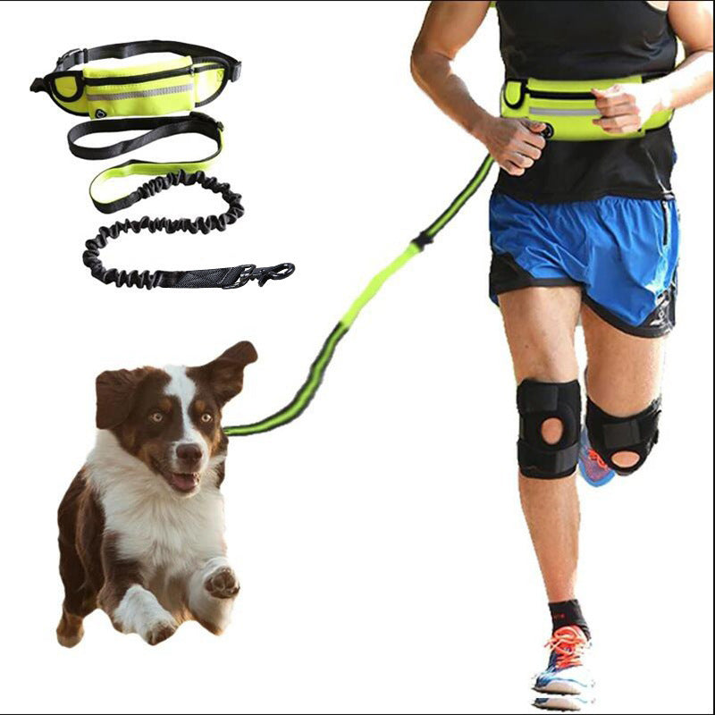 Hands Free Walking And Training Belt With Leash For Up To 180lbs Dogs With Phone Pocket And Water Bottle Holder