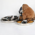 Load image into Gallery viewer, Hot Stainless Steel Pet Bowl Feeder Skidproof Anti-ant Food Water Dishes Feeder
