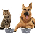 Load image into Gallery viewer, Pet Food Dish Bowl For Pet Feeding Stainless Steel Dog Bowls For Large Dogs Indoor High Capacity Metal Cat Food Bowls
