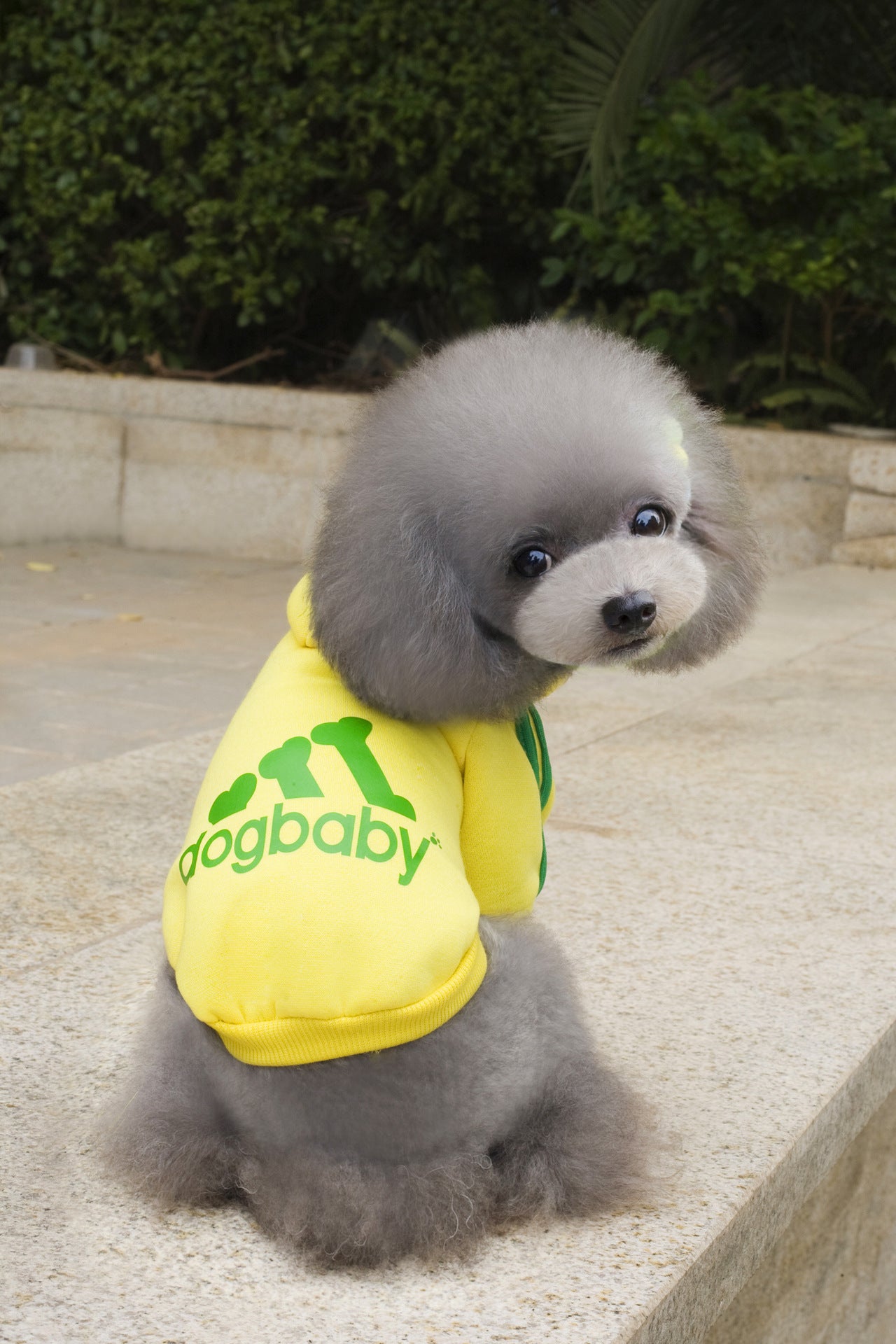 Fashion Warm Hoodie Clothes For Small and Big Dogs