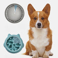 Load image into Gallery viewer, Pet Dog Cat Slow Feeder Bowls Anti Choking Slow Feeder Dish Bowl
