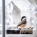 Load image into Gallery viewer, Bird Feeder Live Feeding Cam Smart Bird Feeder With Camera
