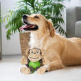 Load image into Gallery viewer, Dog Cute Squeaky Stuffed Animal Monkey Plush Toy
