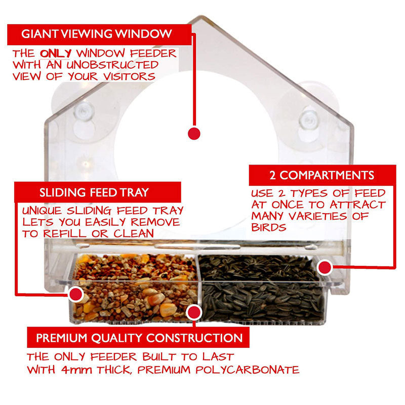 Bird Feeder Live Feeding Cam Smart Bird Feeder With Camera