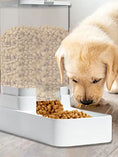 Load image into Gallery viewer, Dog and Cat Automatic Feeding Water Bowl, Pet Food Storage Dispenser Container
