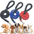 Load image into Gallery viewer, Dogs Leash Running Elasticity Hand Freely Pet Products Jogging Lead And Adjustable Waist Rope Leash Lead Training Padded Handle Reflective
