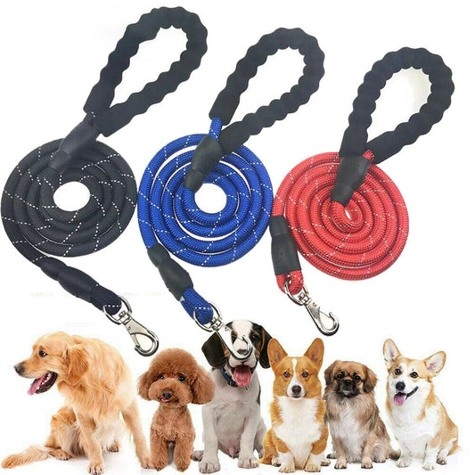 Dogs Leash Running Elasticity Hand Freely Pet Products Jogging Lead And Adjustable Waist Rope Leash Lead Training Padded Handle Reflective