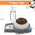 Load image into Gallery viewer, Elevated Panda Raised Stainless Steel Bowls With Automatic Water Dispenser Bottle For Pets
