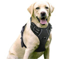 Load image into Gallery viewer, Large Dog Vest Leash For Dogs
