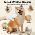 Load image into Gallery viewer, Pet Disposable Gloves Cat Dog Cleaning Dry Cleaning Gloves Pet Products
