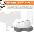 Load image into Gallery viewer, Elevated Panda Raised Stainless Steel Bowls With Automatic Water Dispenser Bottle For Pets
