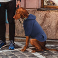 Load image into Gallery viewer, Dog Hoodie With Pocket Fall Winter Warm Soft Fleece Pet Clothes
