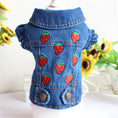 Load image into Gallery viewer, Denim Dog Clothes for Pitbull Dachshund Fashion Dog Jean Jacket
