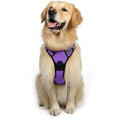 Load image into Gallery viewer, Large Dog Vest Leash For Dogs
