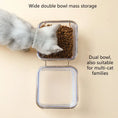 Load image into Gallery viewer, Cat and Dog Double Bowl with Stand Transparent Food Feeding Dish Metal Elevated Feeder
