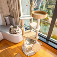 Load image into Gallery viewer, Cat Large Climbing Integrated Luxury Shelf Cat Tree
