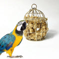 Load image into Gallery viewer, Parrot Toy Bird Bite  Feeding Foraging Brushed Toy
