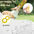 Load image into Gallery viewer, Pet Supplies Interactive Teeth Grinding Machine Pet Toys Pull Ring Dog Chewing Toys
