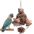 Load image into Gallery viewer, Fruit Wood Parrot Toy Bird Supplies
