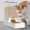 Load image into Gallery viewer, Dog and Cat Automatic Feeding Water Bowl, Pet Food Storage Dispenser Container
