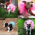 Load image into Gallery viewer, Tutu Skirt Ballerina for Puppy Dog Cute Dresses Costume for Small Dogs
