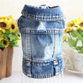 Load image into Gallery viewer, Denim Dog Clothes for Pitbull Dachshund Fashion Dog Jean Jacket
