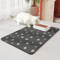 Load image into Gallery viewer, Dogs And Cats Eating Mat Spill-proof Waterproof Quick-drying Placemat
