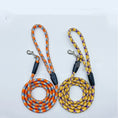 Load image into Gallery viewer, Universal Nylon Leash For Small And Medium Dogs
