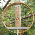 Load image into Gallery viewer, Simple Hanging Bird Feeder Birding Supplies
