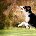 Load image into Gallery viewer, Long-Lasting Hard Chew Bone Toys For Dogs
