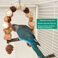 Load image into Gallery viewer, Wooden Parrot Swing Natural Log Bird Stand Pole Perched Wooden Mountain Parrot Toys
