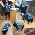 Load image into Gallery viewer, Denim Dog Clothes for Pitbull Dachshund Fashion Dog Jean Jacket
