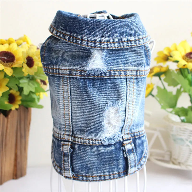 Denim Dog Clothes for Pitbull Dachshund Fashion Dog Jean Jacket