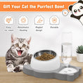 Load image into Gallery viewer, Elevated Panda Raised Stainless Steel Bowls With Automatic Water Dispenser Bottle For Pets
