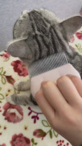 Load and play video in Gallery viewer, Cat Grooming Comb Comfortable Pet Small Lice Flea Combs Universal Paw Comb
