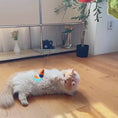 Load and play video in Gallery viewer, Automatic Intelligent Rolling Ball Mouse Teaser Cat Toys
